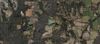 Pine Park Road - Fountain 9 AC photo